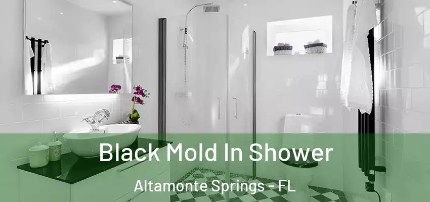  Black Mold In Shower Altamonte Springs - FL