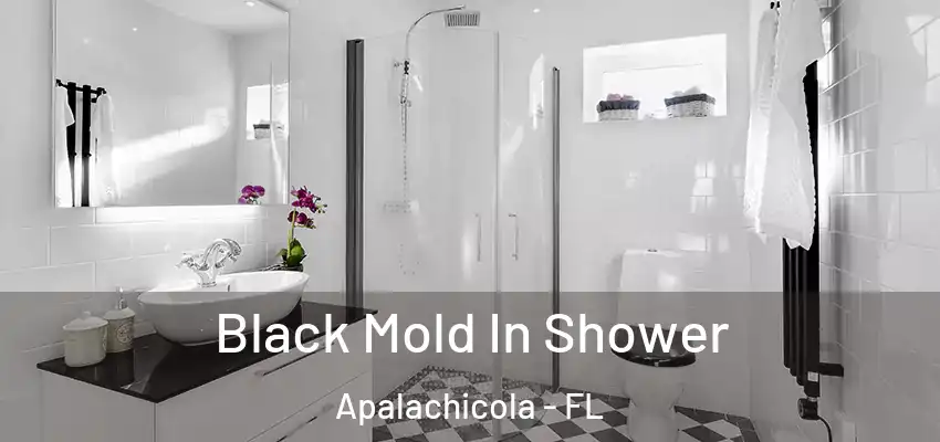 Black Mold In Shower Apalachicola - FL