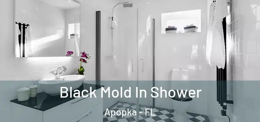  Black Mold In Shower Apopka - FL