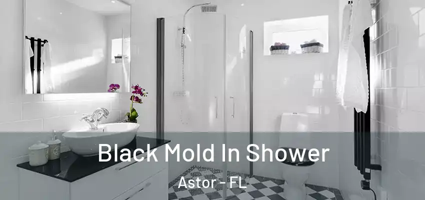  Black Mold In Shower Astor - FL