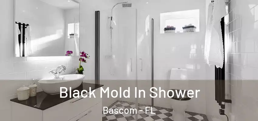 Black Mold In Shower Bascom - FL
