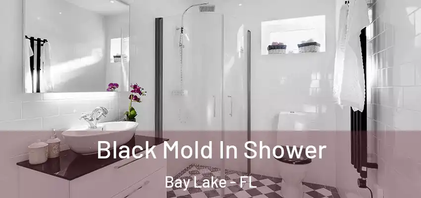  Black Mold In Shower Bay Lake - FL