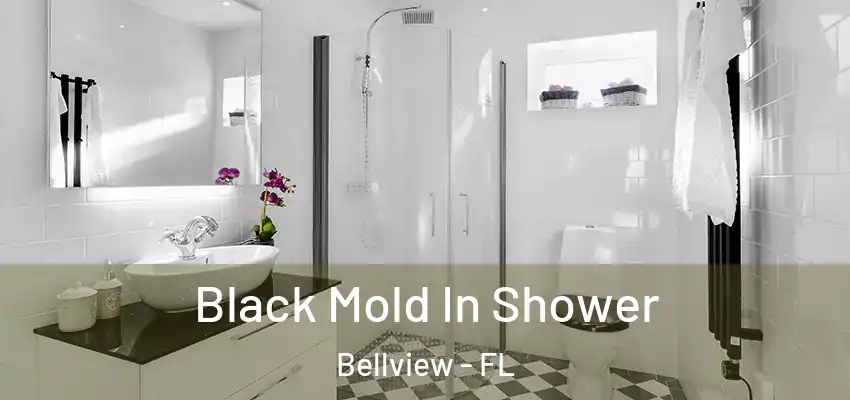  Black Mold In Shower Bellview - FL