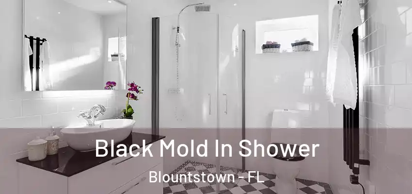  Black Mold In Shower Blountstown - FL