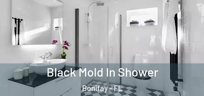  Black Mold In Shower Bonifay - FL