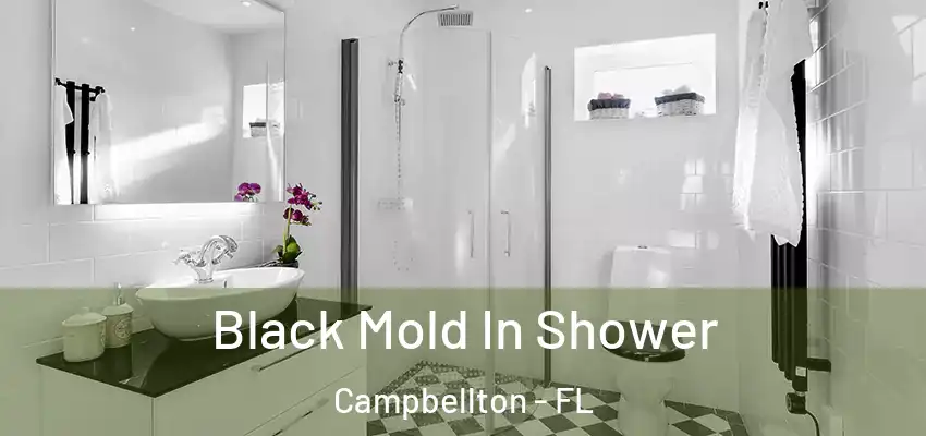  Black Mold In Shower Campbellton - FL