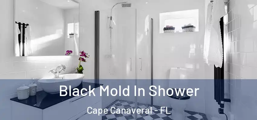  Black Mold In Shower Cape Canaveral - FL