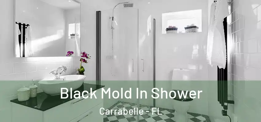  Black Mold In Shower Carrabelle - FL