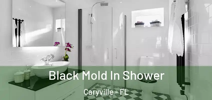  Black Mold In Shower Caryville - FL