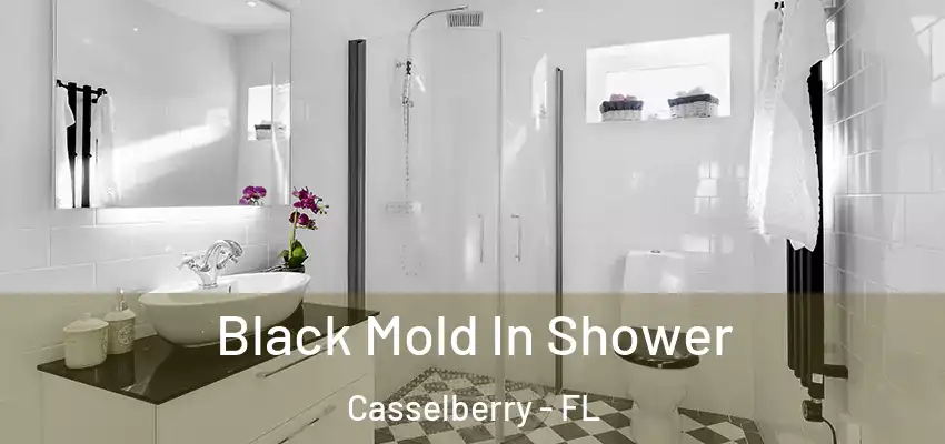  Black Mold In Shower Casselberry - FL