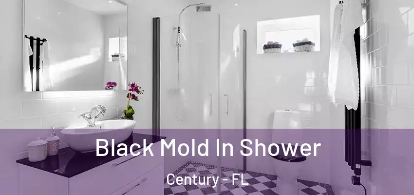  Black Mold In Shower Century - FL