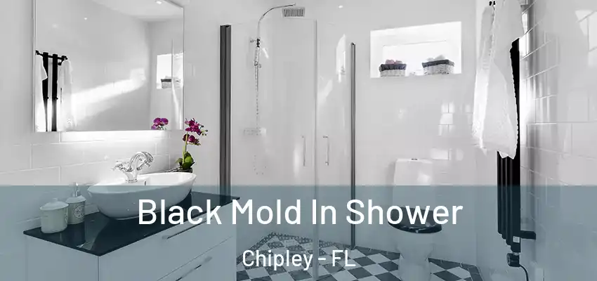  Black Mold In Shower Chipley - FL