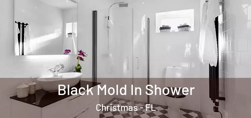  Black Mold In Shower Christmas - FL