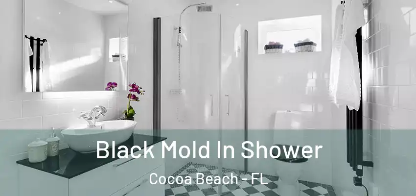  Black Mold In Shower Cocoa Beach - FL