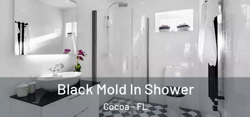  Black Mold In Shower Cocoa - FL