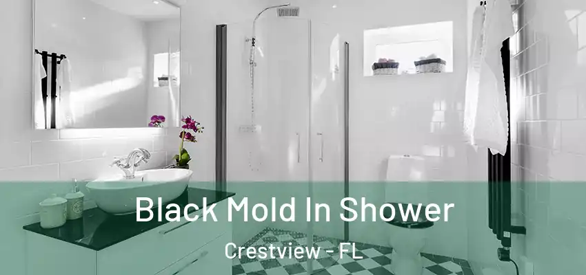  Black Mold In Shower Crestview - FL