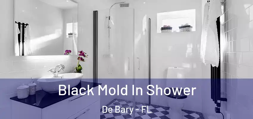  Black Mold In Shower De Bary - FL