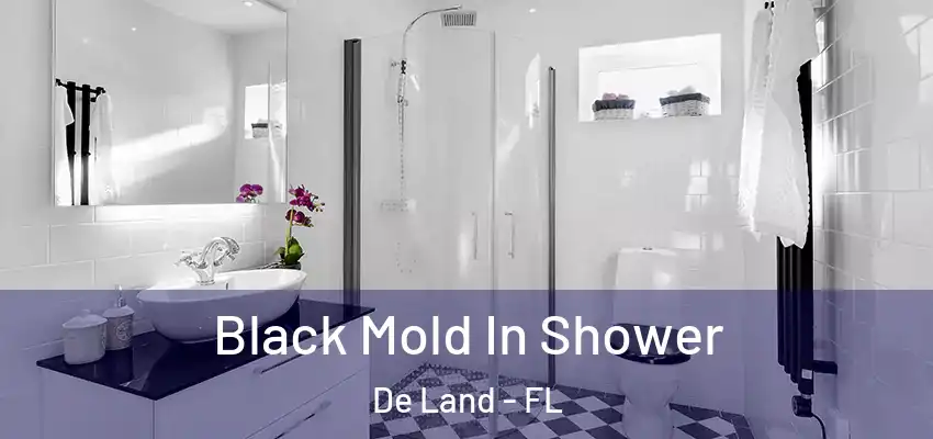  Black Mold In Shower De Land - FL