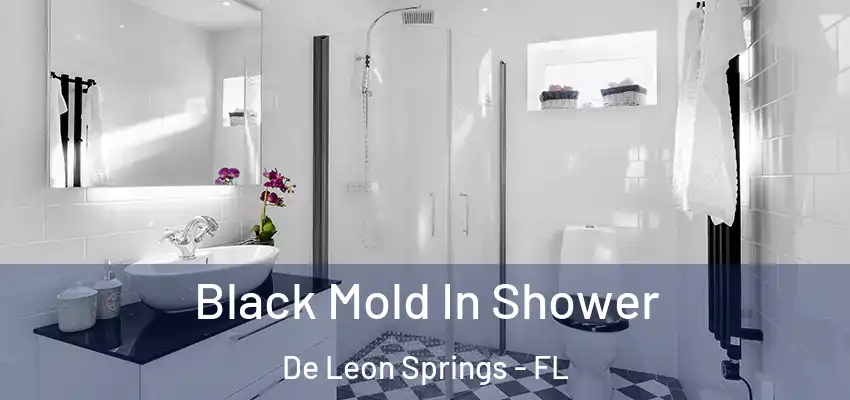  Black Mold In Shower De Leon Springs - FL
