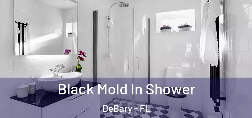  Black Mold In Shower DeBary - FL