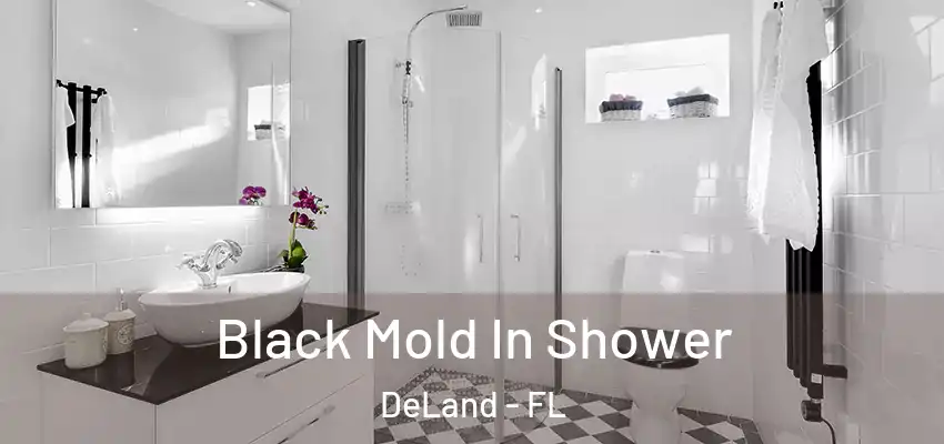  Black Mold In Shower DeLand - FL