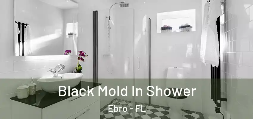  Black Mold In Shower Ebro - FL