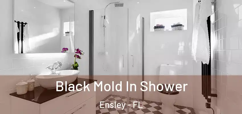  Black Mold In Shower Ensley - FL