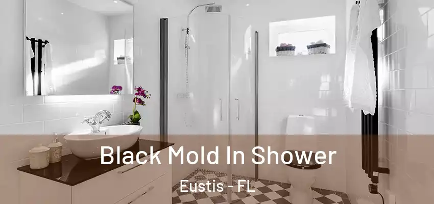  Black Mold In Shower Eustis - FL