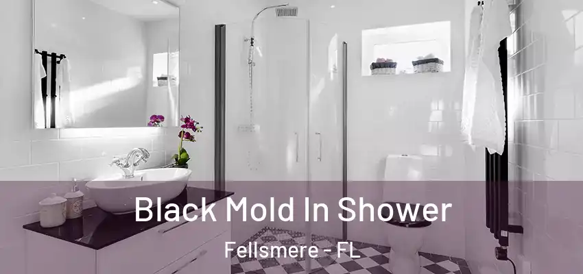  Black Mold In Shower Fellsmere - FL