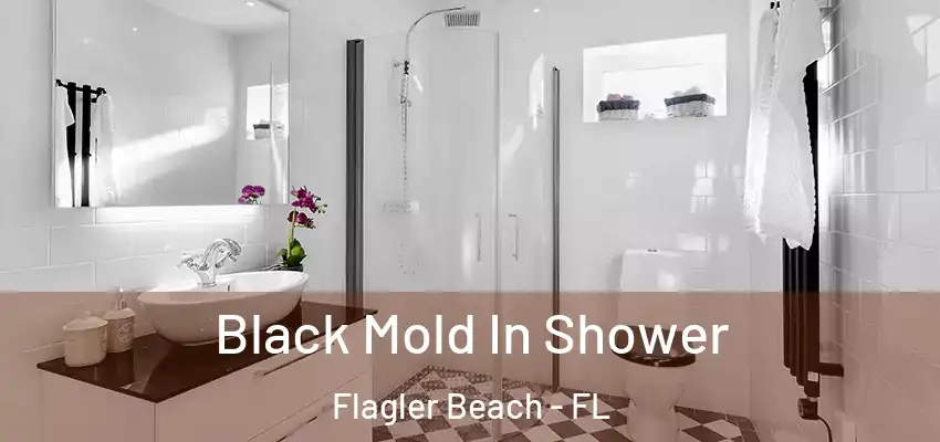  Black Mold In Shower Flagler Beach - FL