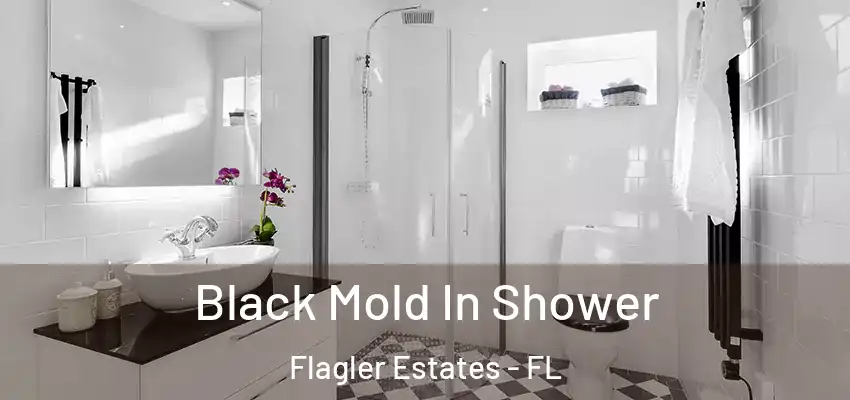  Black Mold In Shower Flagler Estates - FL
