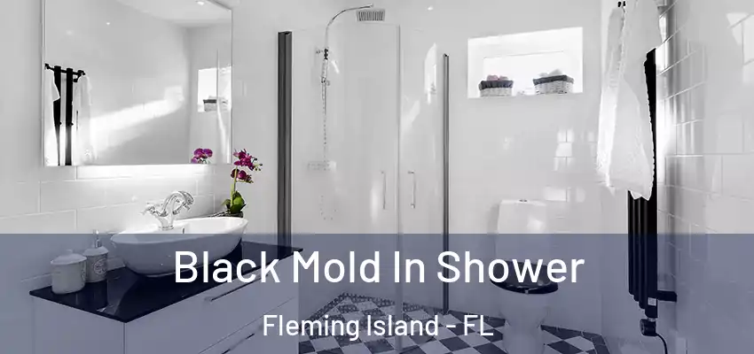  Black Mold In Shower Fleming Island - FL