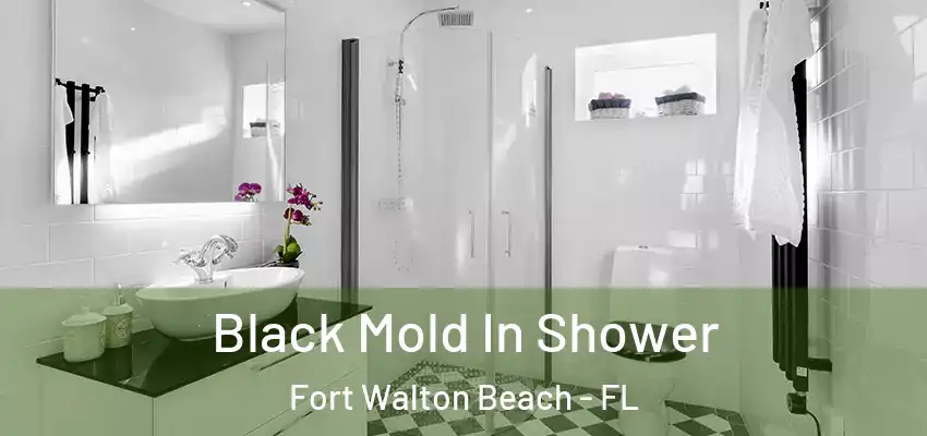  Black Mold In Shower Fort Walton Beach - FL