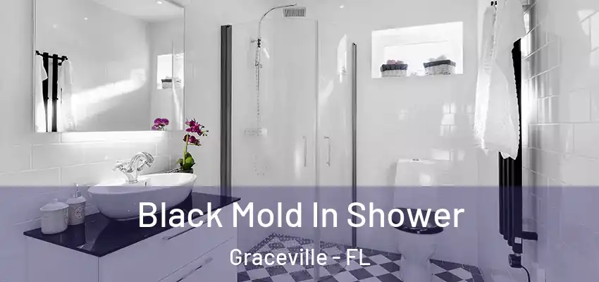  Black Mold In Shower Graceville - FL
