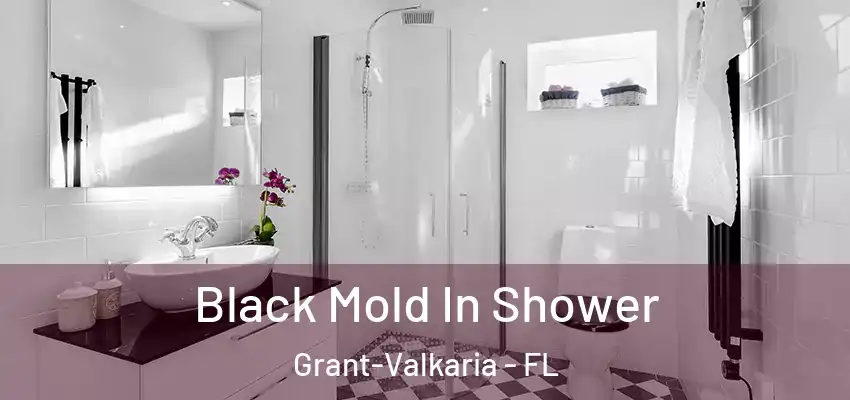 Black Mold In Shower Grant-Valkaria - FL