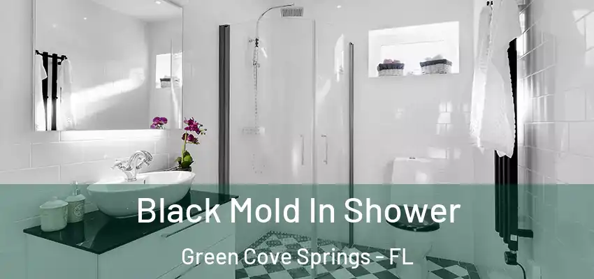  Black Mold In Shower Green Cove Springs - FL