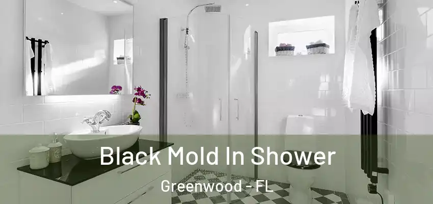 Black Mold In Shower Greenwood - FL