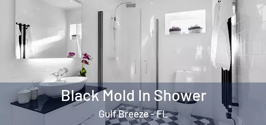  Black Mold In Shower Gulf Breeze - FL