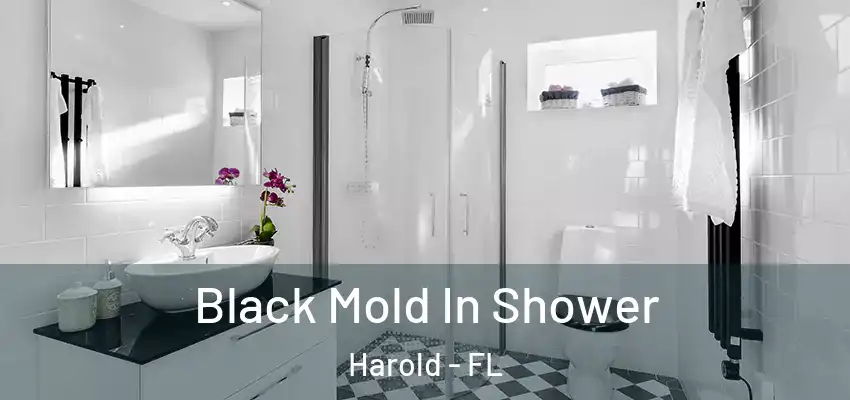  Black Mold In Shower Harold - FL