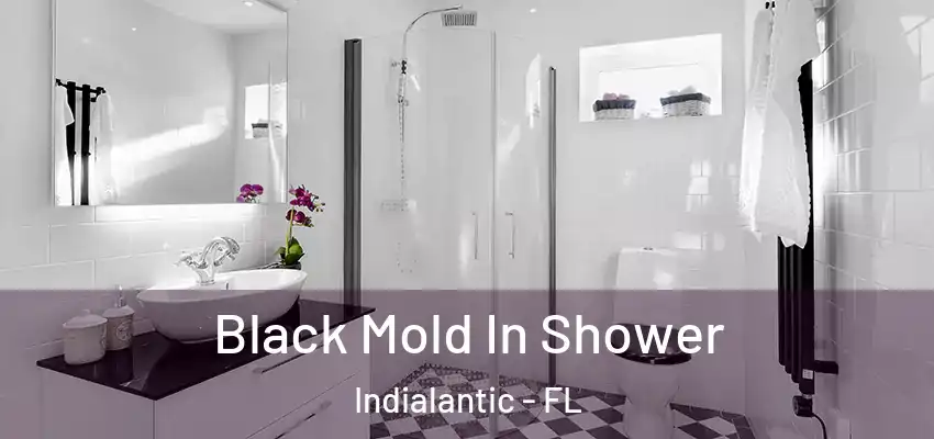  Black Mold In Shower Indialantic - FL