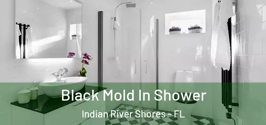 Black Mold In Shower Indian River Shores - FL