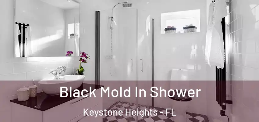  Black Mold In Shower Keystone Heights - FL