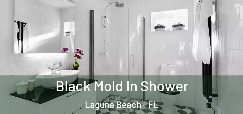  Black Mold In Shower Laguna Beach - FL