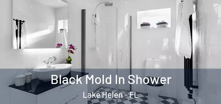  Black Mold In Shower Lake Helen - FL