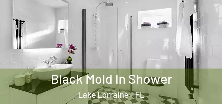  Black Mold In Shower Lake Lorraine - FL