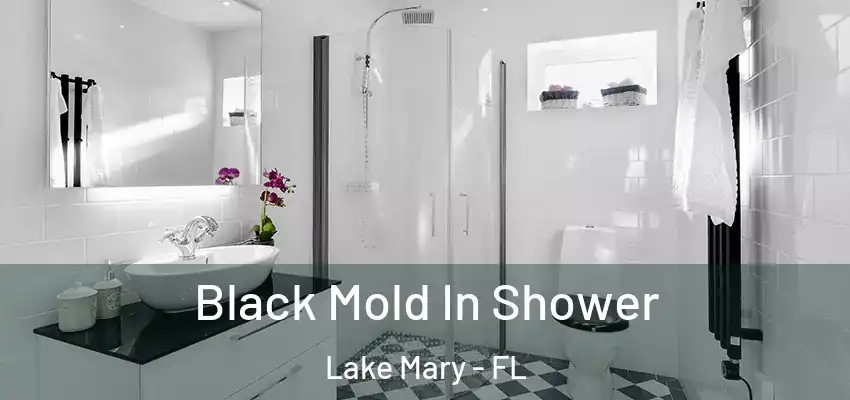  Black Mold In Shower Lake Mary - FL