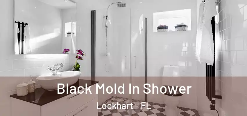 Black Mold In Shower Lockhart - FL