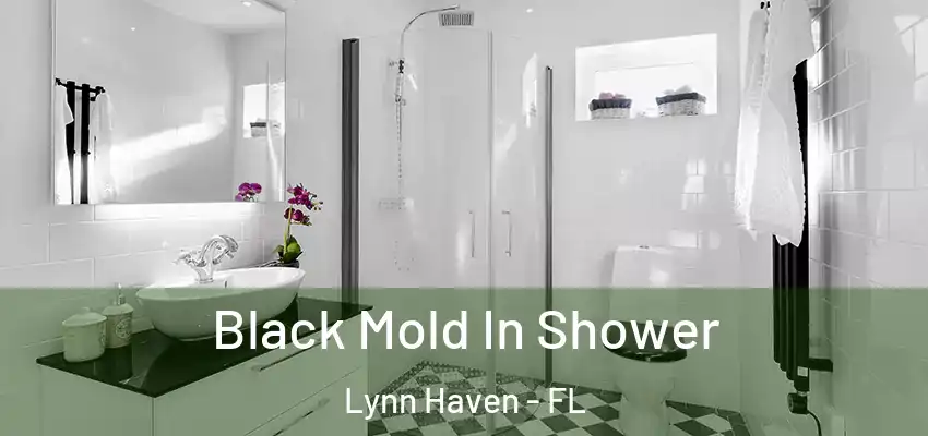  Black Mold In Shower Lynn Haven - FL