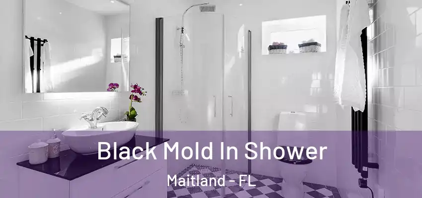 Black Mold In Shower Maitland - FL