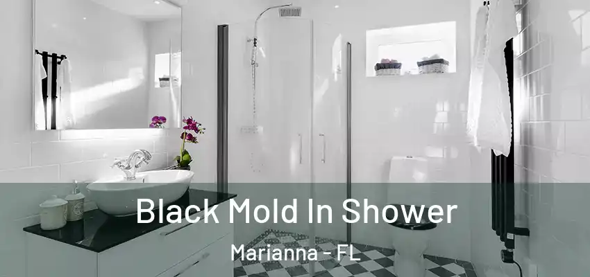  Black Mold In Shower Marianna - FL